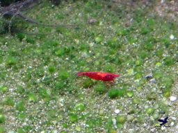 Haus des Meeres 4.02.2026